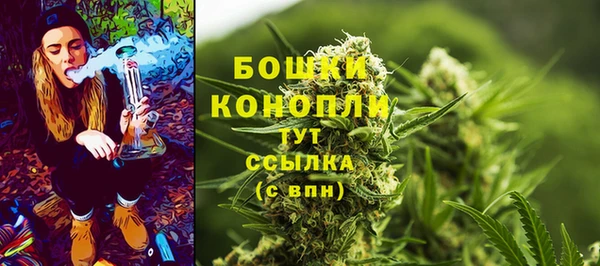 гашик Лагань