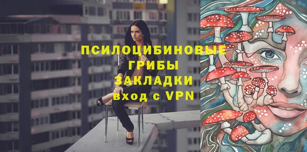 apvp Ладушкин