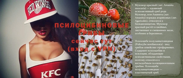 ECSTASY Лабытнанги