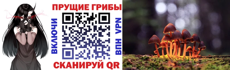 Купить где  Родники  Псилоцибиновые грибы ЛСД 